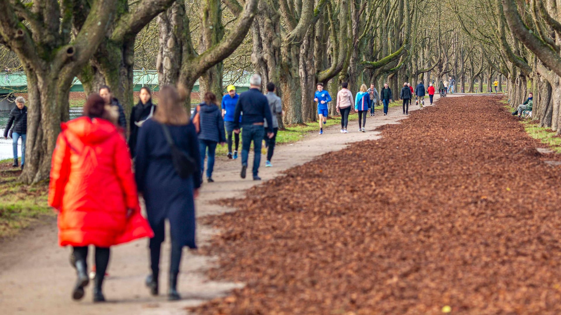 Walkers and day trippers take advantage of the warm temperatures on Sunday of the Dead to take a walk around the Decksteiner Weiher in Cologne NRW. Autumn impressions