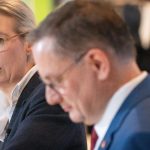 Bundestag administration checks large donation to the AfD